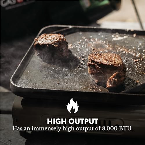 Gas One GS-3400P Propane or Butane Stove Dual Fuel Stove Portable Camping Stove - Patented - with Carrying Case Great for Emergency Preparedness Kit : Sports & Outdoors